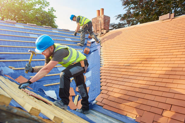 Best Asphalt Shingle Roofing  in Spencer, IA